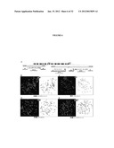 RECURRENT GENE FUSIONS IN CANCER diagram and image