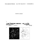 RECURRENT GENE FUSIONS IN CANCER diagram and image