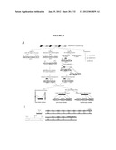 RECURRENT GENE FUSIONS IN CANCER diagram and image