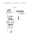 RECURRENT GENE FUSIONS IN CANCER diagram and image