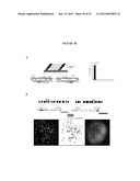 RECURRENT GENE FUSIONS IN CANCER diagram and image