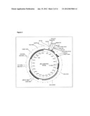 METHODS FOR GENERATION OF RNA AND (POLY)PEPTIDE LIBRARIES AND THEIR USE diagram and image