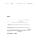 METHODS FOR GENERATION OF RNA AND (POLY)PEPTIDE LIBRARIES AND THEIR USE diagram and image