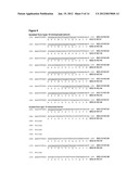 METHODS FOR GENERATION OF RNA AND (POLY)PEPTIDE LIBRARIES AND THEIR USE diagram and image