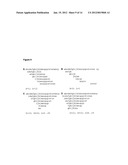 METHODS FOR GENERATION OF RNA AND (POLY)PEPTIDE LIBRARIES AND THEIR USE diagram and image