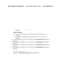 METHODS FOR GENERATION OF RNA AND (POLY)PEPTIDE LIBRARIES AND THEIR USE diagram and image