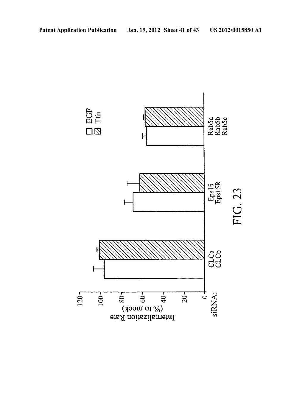 siRNA targeting Superoxide - diagram, schematic, and image 42