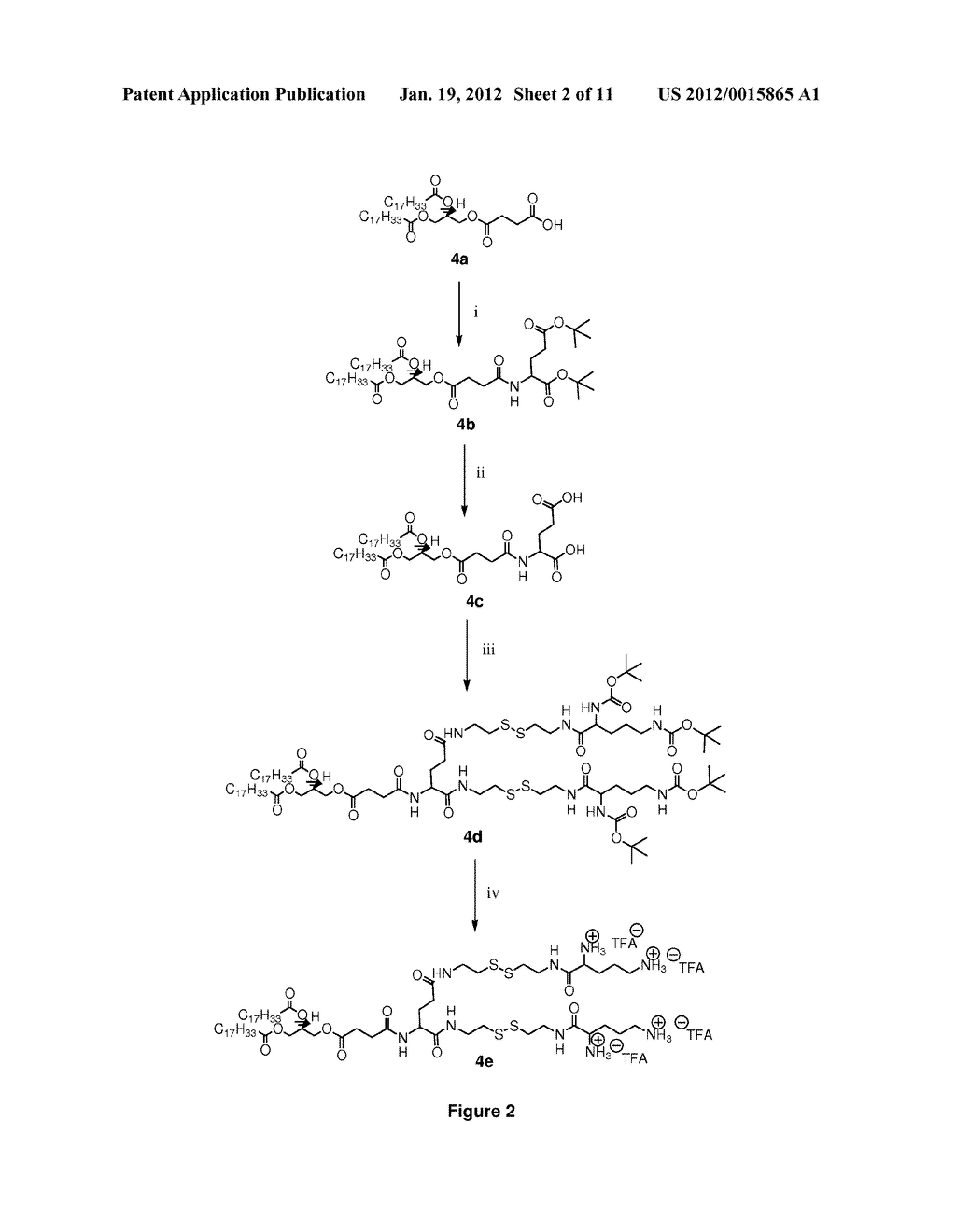 NOVEL CLASS OF CATIONIC LIPIDS FOR TRANSPORTING ACTIVE AGENTS INTO CELLS - diagram, schematic, and image 03