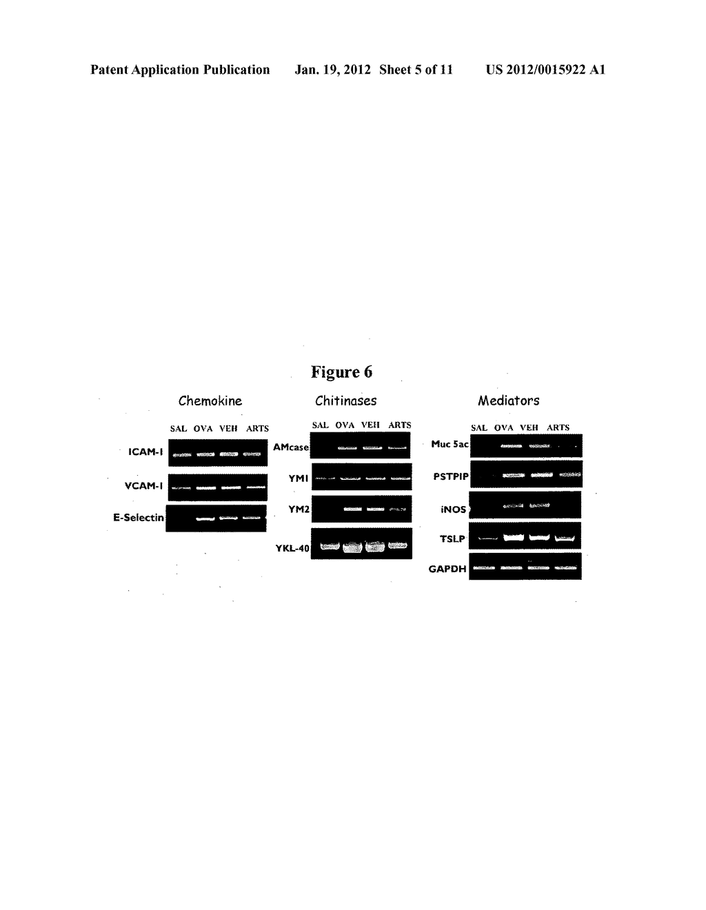 USE OF ARTEMISININ DERIVATIVES FOR THE TREATMENT OF ASTHMA AND CHRONIC     OBSTRUCTIVE PULMONARY DISEASE (COPD) - diagram, schematic, and image 06