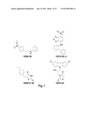 LINKED MYC-MAX SMALL MOLECULE INHIBITORS diagram and image