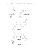 LINKED MYC-MAX SMALL MOLECULE INHIBITORS diagram and image