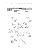 LINKED MYC-MAX SMALL MOLECULE INHIBITORS diagram and image