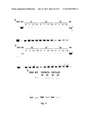 LINKED MYC-MAX SMALL MOLECULE INHIBITORS diagram and image