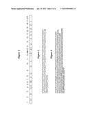 POT1 ALTERNATIVE SPLICING VARIANTS diagram and image