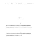 POT1 ALTERNATIVE SPLICING VARIANTS diagram and image