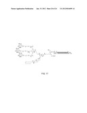 Optimized Methods For Delivery Of DSRNA Targeting The PCSK9 Gene diagram and image