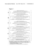 RNA Interference Mediated Inhibition of BTB and CNC Homology 1, Basic     Leucine Zipper Transcription Factor 1 (BACH1) Gene Expression Using Short     Interfering Nucleic Acid (siNA) diagram and image