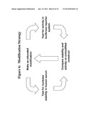 RNA Interference Mediated Inhibition of BTB and CNC Homology 1, Basic     Leucine Zipper Transcription Factor 1 (BACH1) Gene Expression Using Short     Interfering Nucleic Acid (siNA) diagram and image