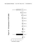 RNA Interference Mediated Inhibition of BTB and CNC Homology 1, Basic     Leucine Zipper Transcription Factor 1 (BACH1) Gene Expression Using Short     Interfering Nucleic Acid (siNA) diagram and image