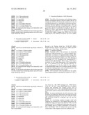 RNA Interference Mediated Inhibition of BTB and CNC Homology 1, Basic     Leucine Zipper Transcription Factor 1 (BACH1) Gene Expression Using Short     Interfering Nucleic Acid (siNA) diagram and image