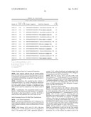 RNA Interference Mediated Inhibition of BTB and CNC Homology 1, Basic     Leucine Zipper Transcription Factor 1 (BACH1) Gene Expression Using Short     Interfering Nucleic Acid (siNA) diagram and image