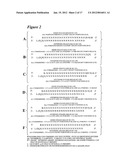 RNA Interference Mediated Inhibition of Connective Tissue Growth Factor     (CTGF) Gene Expression Using Short Interfering Nucleic Acid (siNA) diagram and image