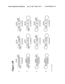 RNA Interference Mediated Inhibition of Connective Tissue Growth Factor     (CTGF) Gene Expression Using Short Interfering Nucleic Acid (siNA) diagram and image