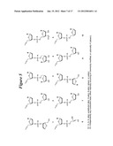 RNA Interference Mediated Inhibition of Connective Tissue Growth Factor     (CTGF) Gene Expression Using Short Interfering Nucleic Acid (siNA) diagram and image