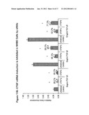 RNA Interference Mediated Inhibition of Connective Tissue Growth Factor     (CTGF) Gene Expression Using Short Interfering Nucleic Acid (siNA) diagram and image