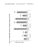 RNA Interference Mediated Inhibition of Connective Tissue Growth Factor     (CTGF) Gene Expression Using Short Interfering Nucleic Acid (siNA) diagram and image