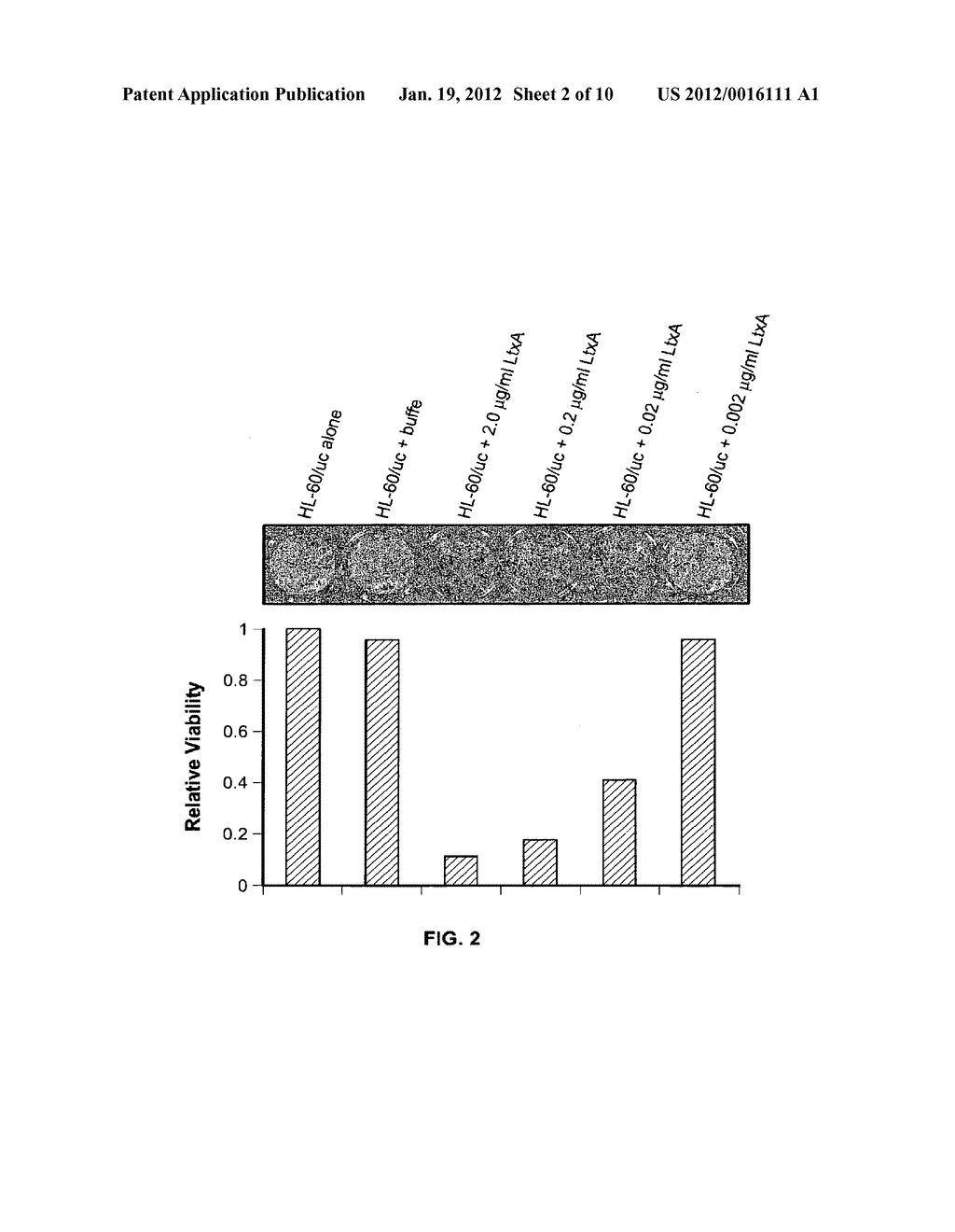 Compositions for the treatment of cancer, and methods for testing and     using the same - diagram, schematic, and image 03