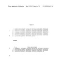 PROCESSING OF MACRONUTRIENTS diagram and image