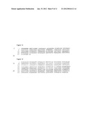 PROCESSING OF MACRONUTRIENTS diagram and image