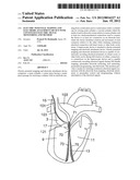 ELECTRIC POTENTIAL MAPPING AND ELECTRODE ATTACHMENT DEVICE WITH CONTINUOUS     ELECTRIC SIGNAL MONITORING AND METHOD diagram and image