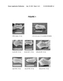 ARTICLES, COMPOSITIONS, AND METHODS FOR KILLING OR PREVENTING THE GROWTH     OF MICROBES diagram and image