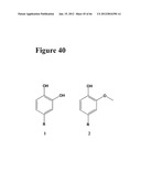 BIOADHESIVE COMPOUNDS AND METHODS OF SYNTHESIS AND USE diagram and image