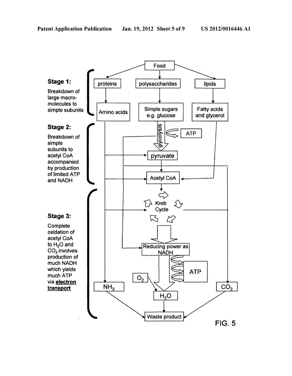 Therapeutic electric antioxidant clothing apparatus and method - diagram, schematic, and image 06