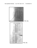 SYSTEM AND METHOD FOR ESTIMATING LEAD CONFIGURATION FROM NEIGHBORING     RELATIONSHIP BETWEEN ELECTRODES diagram and image