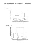 SYSTEM AND METHOD FOR ESTIMATING LEAD CONFIGURATION FROM NEIGHBORING     RELATIONSHIP BETWEEN ELECTRODES diagram and image