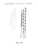 SYSTEM AND METHOD FOR ESTIMATING LEAD CONFIGURATION FROM NEIGHBORING     RELATIONSHIP BETWEEN ELECTRODES diagram and image