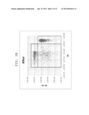 FLUORESCENCE INTENSITY CORRECTING METHOD, FLUORESCENCE INTENSITY     CALCULATING METHOD, AND FLUORESCENCE INTENSITY CALCULATING APPARATUS diagram and image