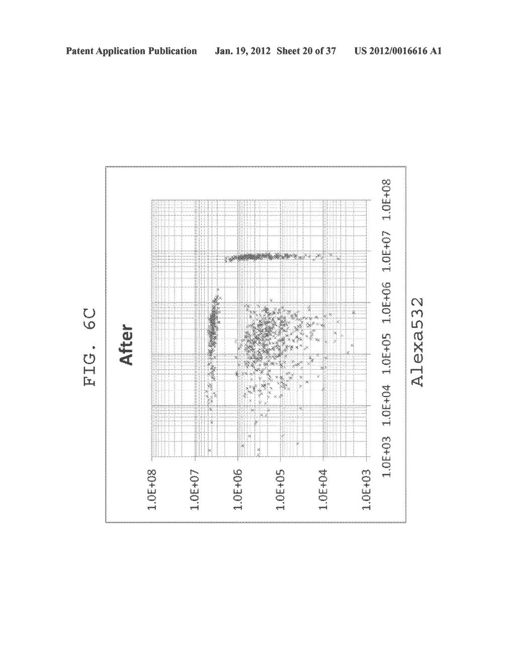 FLUORESCENCE INTENSITY CORRECTING METHOD, FLUORESCENCE INTENSITY     CALCULATING METHOD, AND FLUORESCENCE INTENSITY CALCULATING APPARATUS - diagram, schematic, and image 21