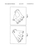 Web glove diagram and image