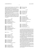 Montana long ranger rifle rest diagram and image