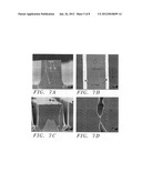 METHOD OF ZINC OXIDE FILM GROWN ON THE EPITAXIAL LATERAL OVERGROWTH     GALLIUM NITRIDE TEMPLATE diagram and image