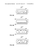 MULTI-COLOR ELECTROPHORETIC DISPLAYS diagram and image