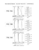 ZOOM LENS SYSTEM, OPTICAL APPARATUS AND METHOD FOR MANUFACTURING ZOOM LENS     SYSTEM diagram and image