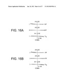 ZOOM LENS SYSTEM, OPTICAL APPARATUS AND METHOD FOR MANUFACTURING ZOOM LENS     SYSTEM diagram and image