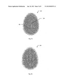 Unique, repeatable, and compact biometric identifier diagram and image