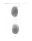 Unique, repeatable, and compact biometric identifier diagram and image